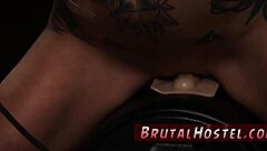 Porn Maker Animation: Excited Youthful Tourists Felicity Feline and Companion in Bondage Domination