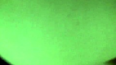 Amateurs give you a blowjob