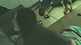 الزوجة الجذابة تركب زبي بعاطفة جامحة