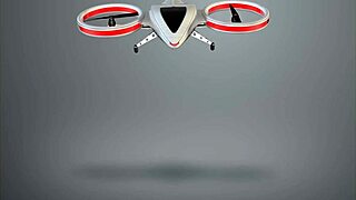 Wer versteckt sich unter dem Nudisten-Weihnachtsbaum?